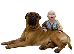 hvac-repair-children-dogs-and-cool-fresh-air-300221